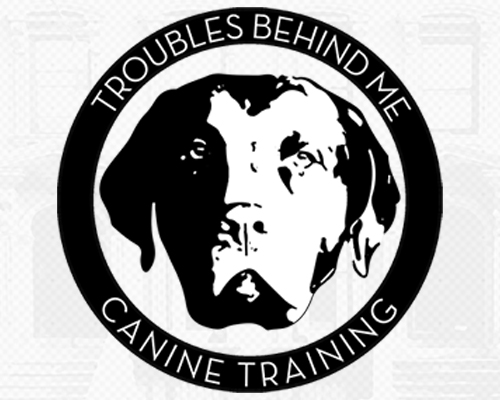 Troubles